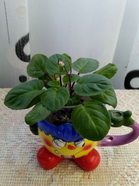 29 nov - Rob s Vanilla trail