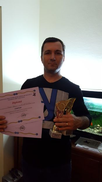  - REZULTATE EXPO NOIEMBRIE 2017