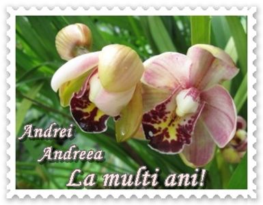 mesaje sms andrei andreea - La multi ani ! Andrei sau Andreea