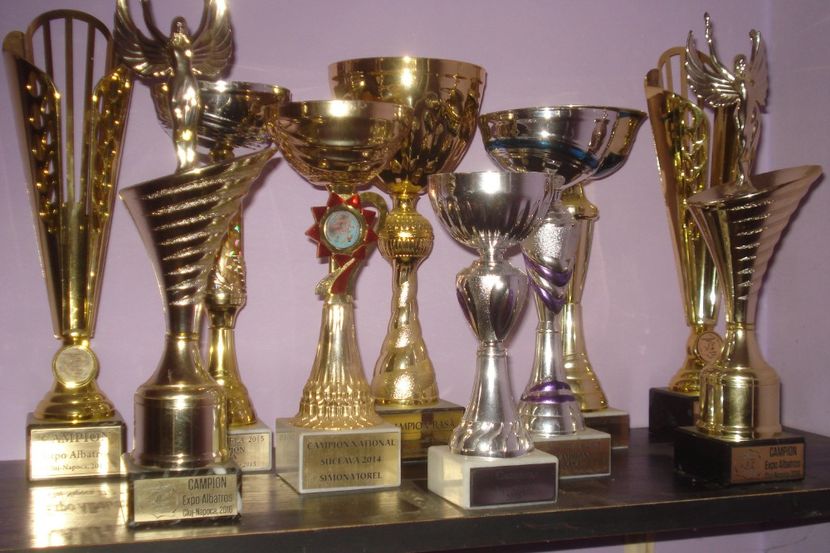  - EXPOZITII SI REZULTATE