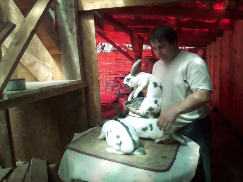  - 00-CONTACT 0746 126 026