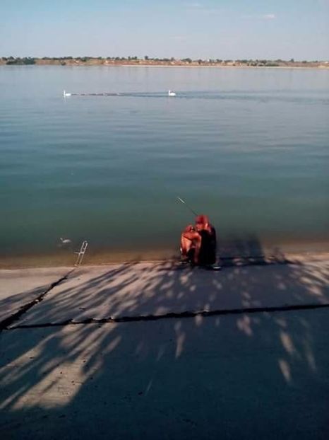  - diverse fotografii