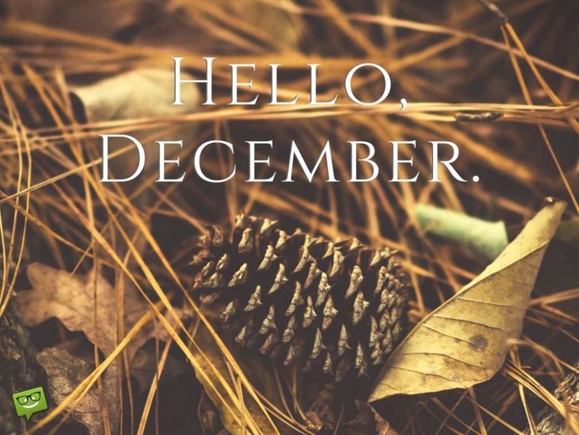 HelloDecember-on-image-with-pine - HELLO DECEMBER-BUN VENIT DECEMBRIE 2017 SALUT