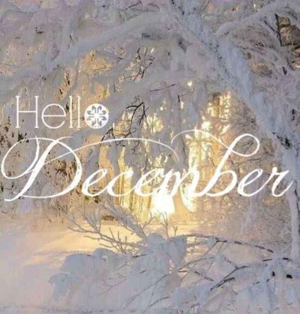 a43daf0113eb3970c877d54a0223b700--welcome-december-quotes-hello-december-quotes - HELLO DECEMBER-BUN VENIT DECEMBRIE 2017 SALUT