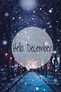 91e86484a78b1e78edf612796eb357a1--hello-december-wallpaper-best-christmas-gifts - HELLO DECEMBER-BUN VENIT DECEMBRIE 2017 SALUT