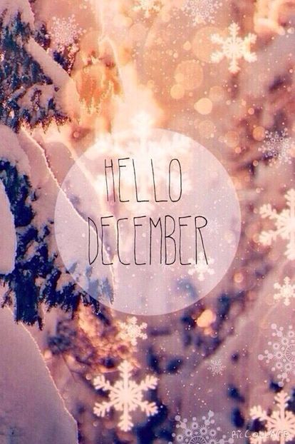 a76f42e3bfd3f242e0dd2c3e070d920b--hello-december-wallpaper-hello-month - HELLO DECEMBER-BUN VENIT DECEMBRIE 2017 SALUT