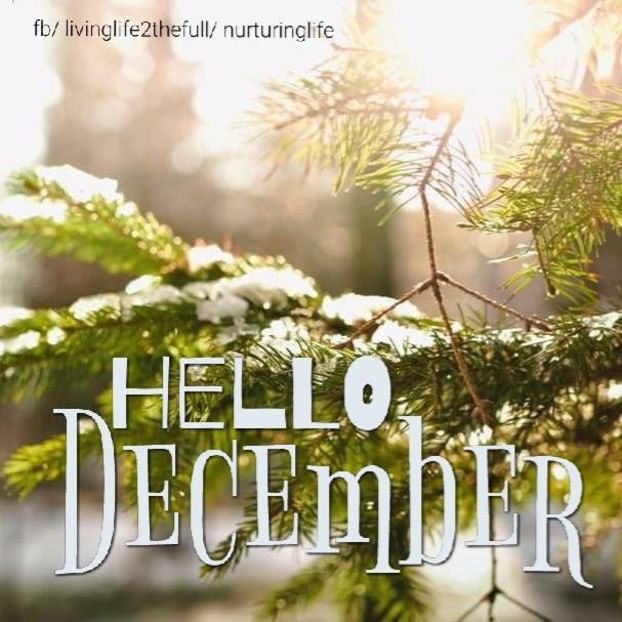 3 - ALEGE_TI O POZA LIBERA CU HELLO DECEMBER SI EU ITI PUN NUMELE TAU DE CONT LA EA