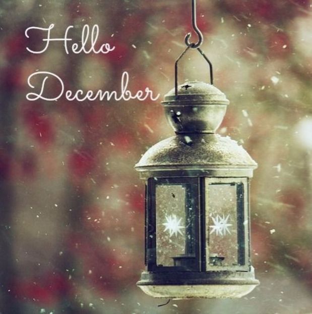 isusetariamea - ALEGE_TI O POZA LIBERA CU HELLO DECEMBER SI EU ITI PUN NUMELE TAU DE CONT LA EA