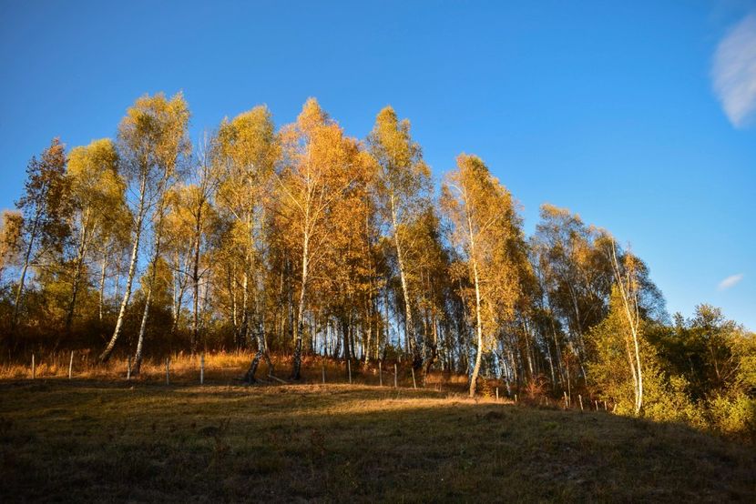  - Frumusetea toamnei