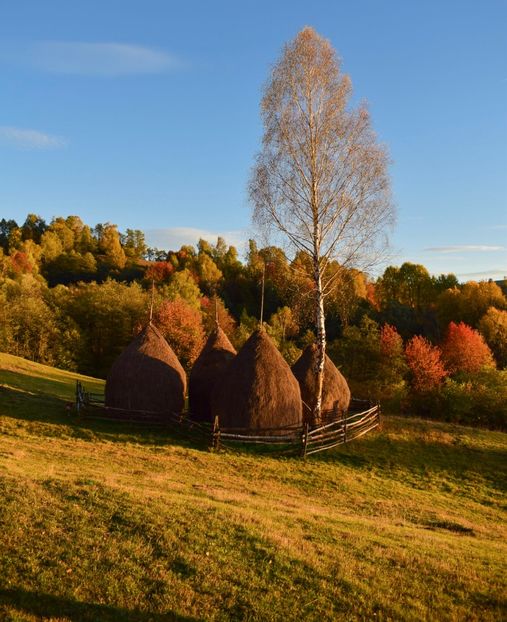  - Frumusetea toamnei