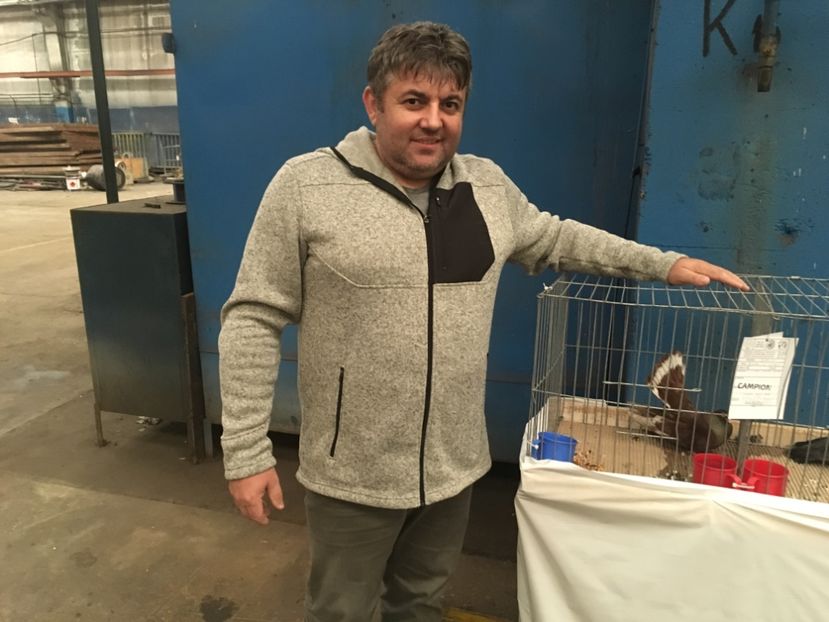 3EF53991-5D2F-429C-8A08-D181FE9F7C38 - Expo Naționala Baicoi 2017