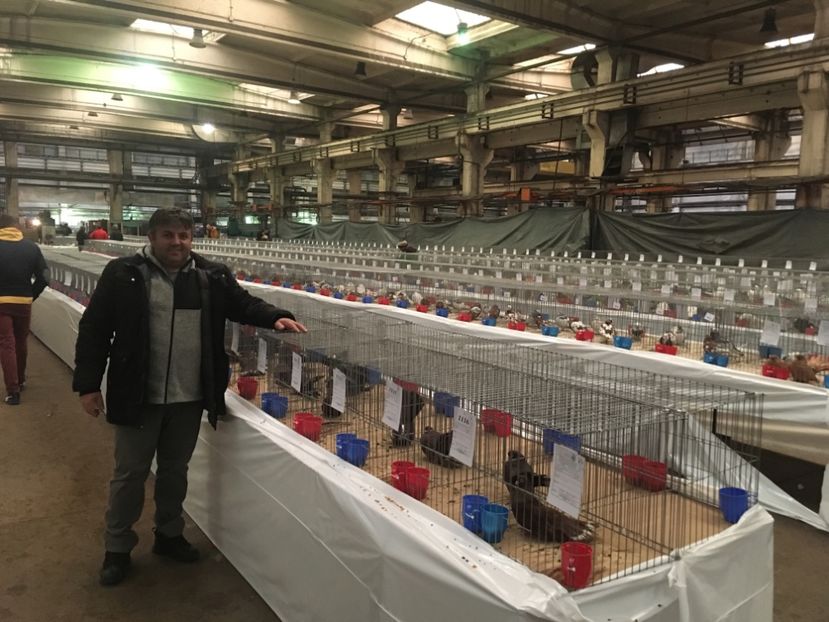 7EEE9930-38F2-4367-9F88-D1EE98442A6E - Expo Naționala Baicoi 2017