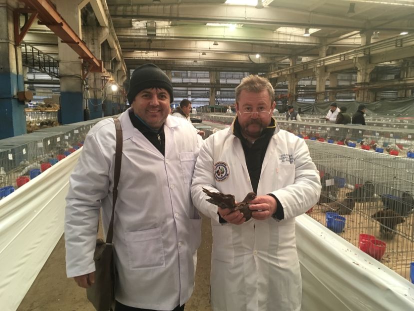 B46483EA-554D-45FA-A247-92EF12EA9E75 - Expo Naționala Baicoi 2017