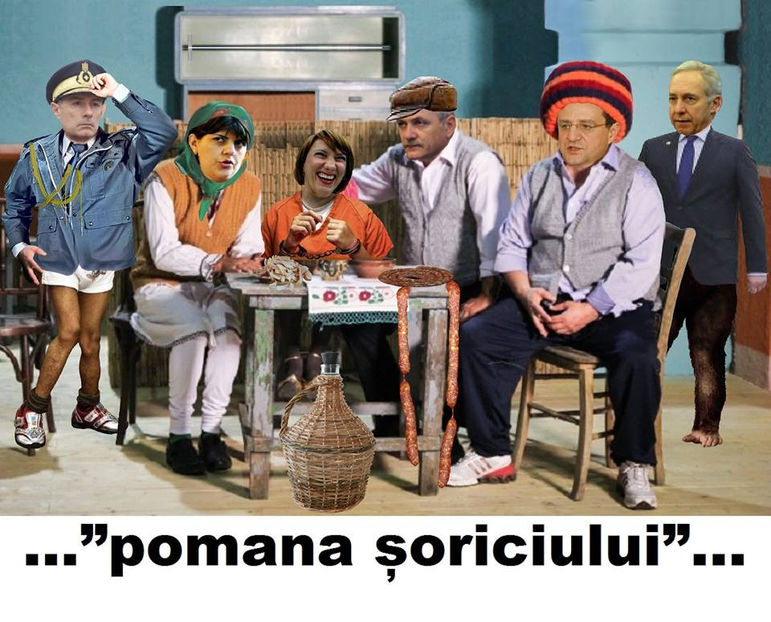  - Poze haioase pamflet