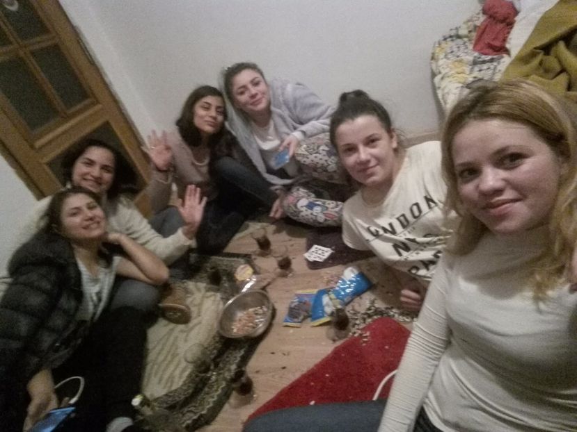  - 2017 cele mai tari