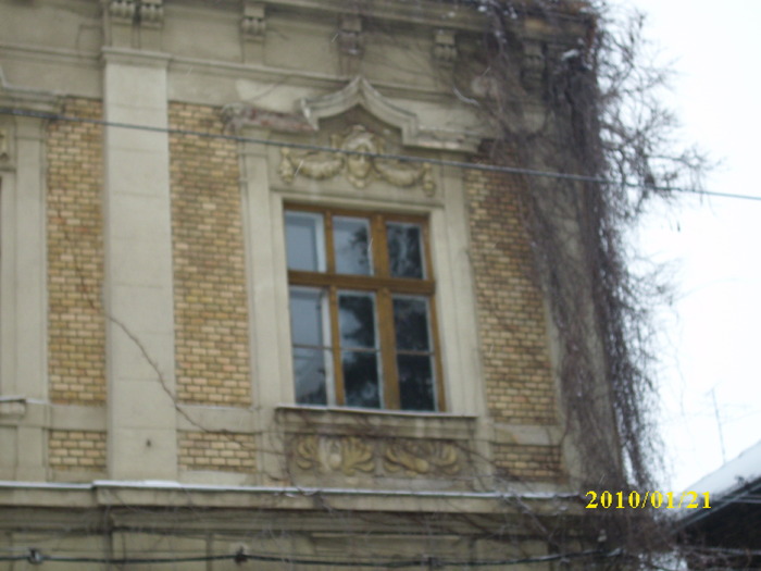 DSCI4111 - imagini din Timisoara