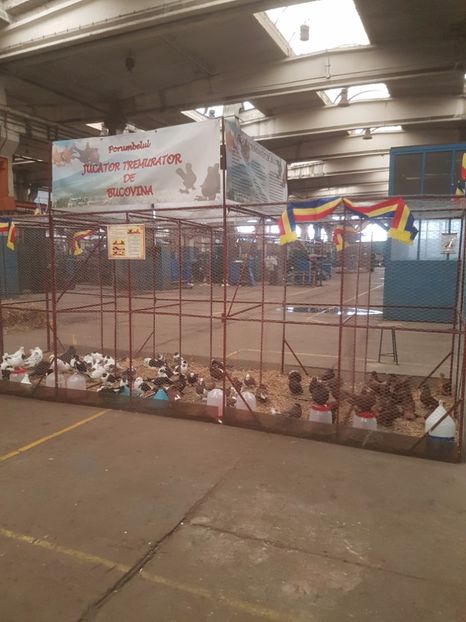  - Expoziția Națională Baicoi 29 noiembrie - 03 decembrie 2017