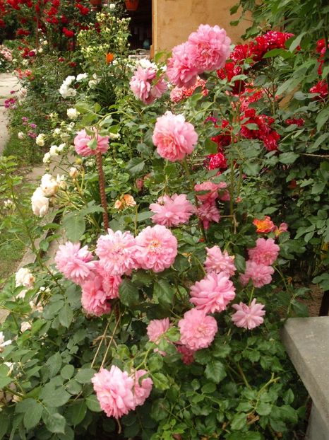  - Christopher Marlowe