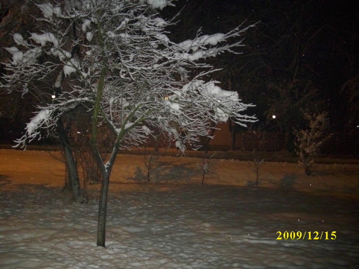 DSCI3244 - iarna 2009-2010