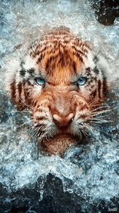 3B557D1A-6B02-4DEA-A785-1170C3A62C65 - V-Fotografii