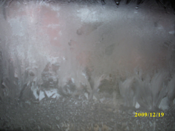 DSCI3344