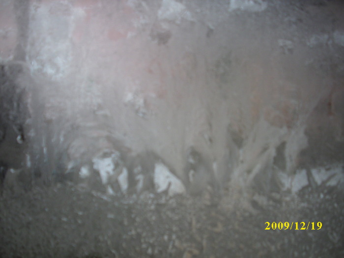 DSCI3348