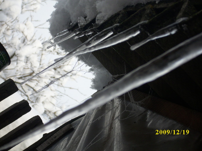DSCI3357 - iarna 2009-2010