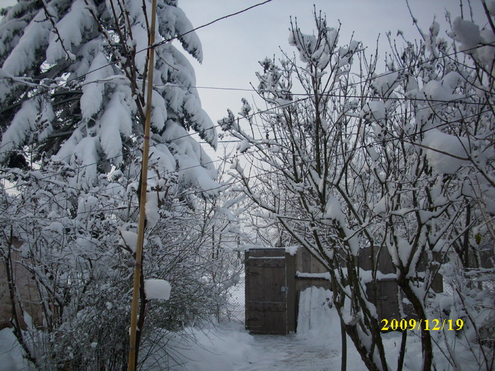 DSCI3363 - iarna 2009-2010