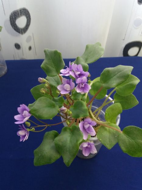 2 dec - Rob s Humpty Doo Sport