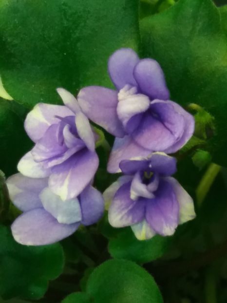 2 dec - Rob s Humpty Doo Sport