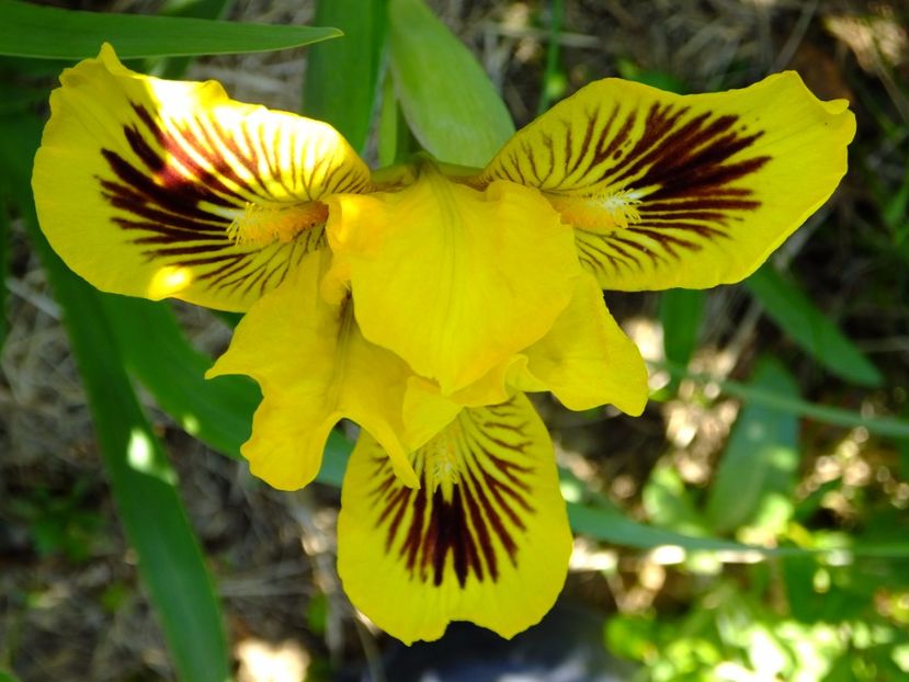  - 2017_04_Aprilie II