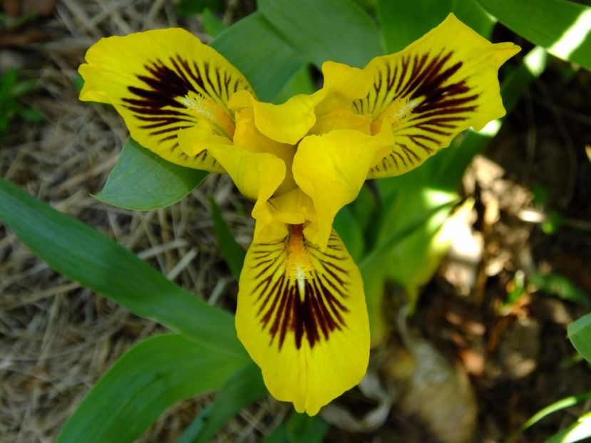  - 2017_04_Aprilie II