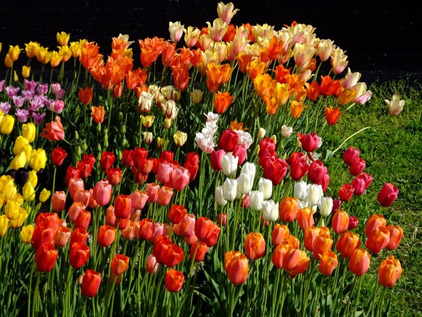  - 2017_04_Aprilie II