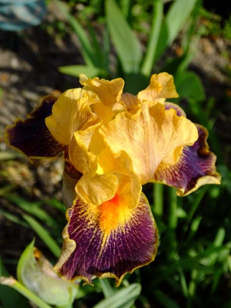  - 2017_04_Aprilie II