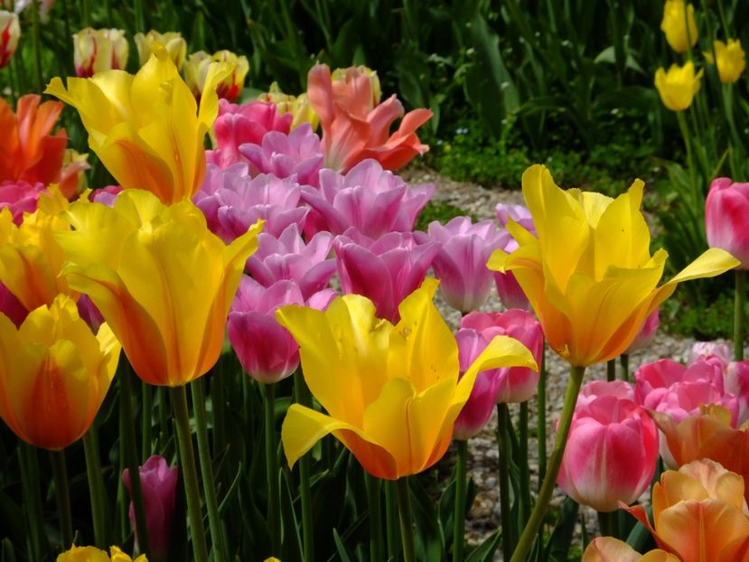  - 2017_04_Aprilie II