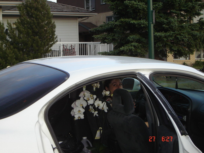 DSC03608 - surioara mea iubita