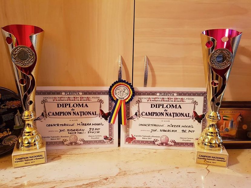  - Campion National 2017