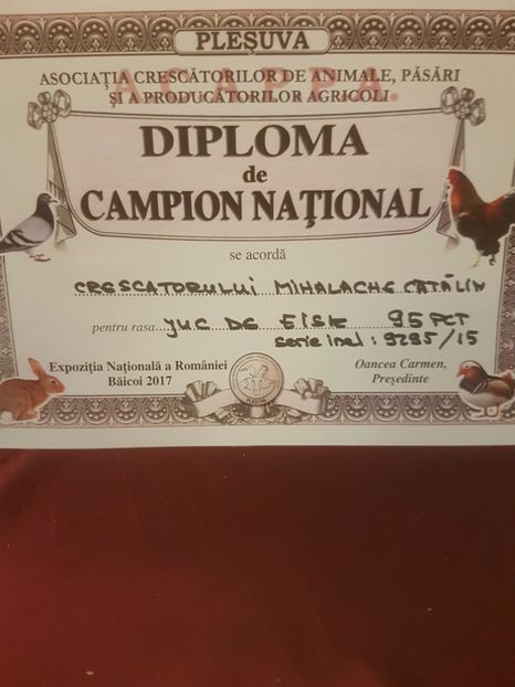  - Campion National Expozitia Nationala a Romaniei Baicoi 29 noiembrie - 03 decembrie 2017