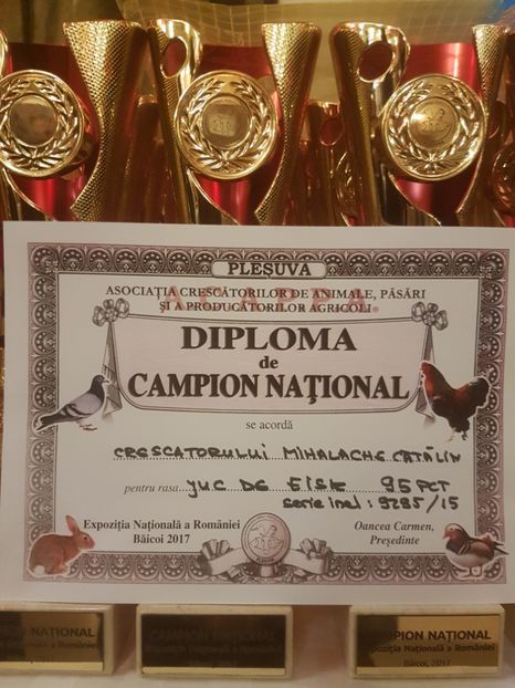  - Campion National Expozitia Nationala a Romaniei Baicoi 29 noiembrie - 03 decembrie 2017