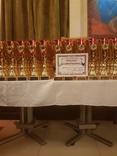  - Campion National Expozitia Nationala a Romaniei Baicoi 29 noiembrie - 03 decembrie 2017