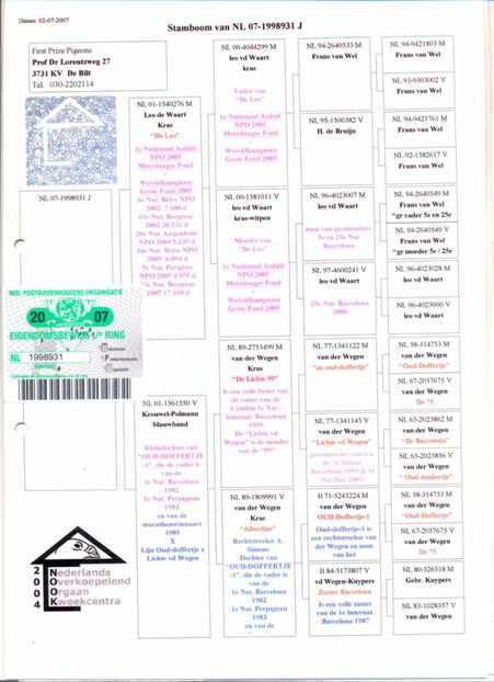 Fiu Leo - Porumbei matca 2018 pagina in constructie