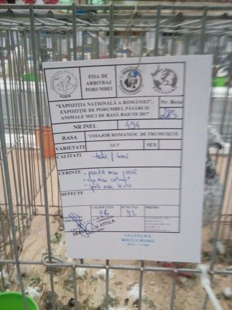  - Rezultate expo nat Baicoi 2017