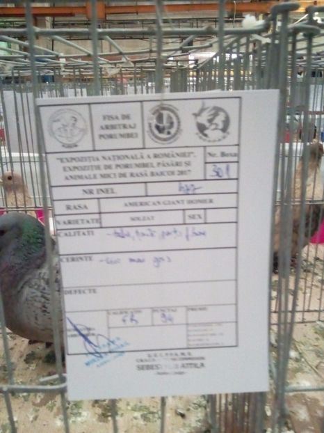  - Rezultate expo nat Baicoi 2017