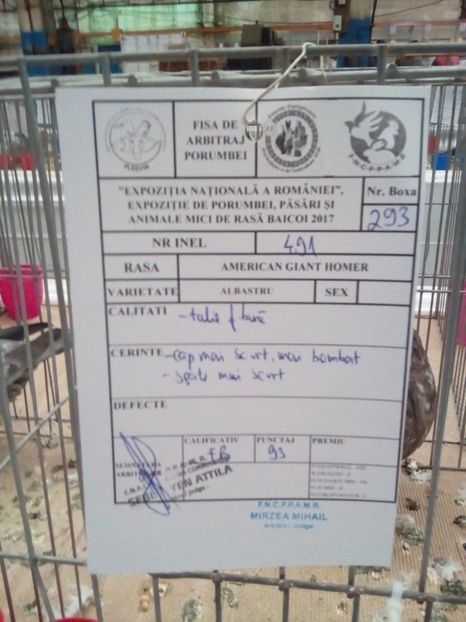  - Rezultate expo nat Baicoi 2017