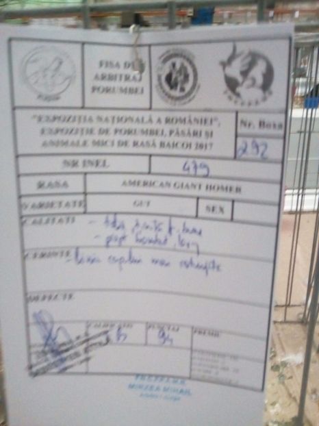  - Rezultate expo nat Baicoi 2017