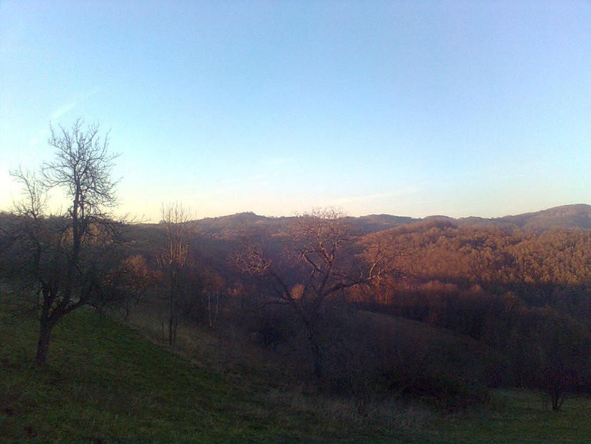  - TOAMNA LA RUNCSOR - IMAGINI