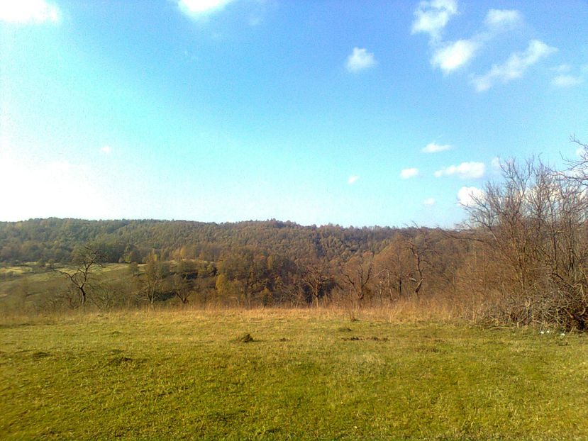  - TOAMNA LA RUNCSOR - IMAGINI