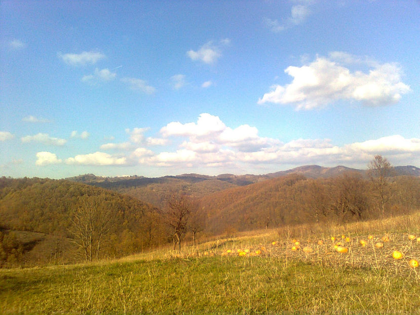  - TOAMNA LA RUNCSOR - IMAGINI