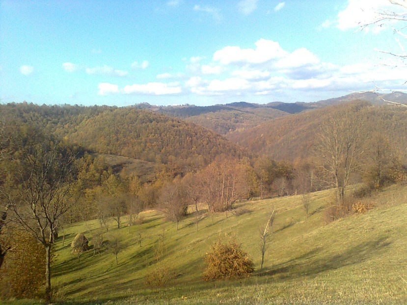  - TOAMNA LA RUNCSOR - IMAGINI