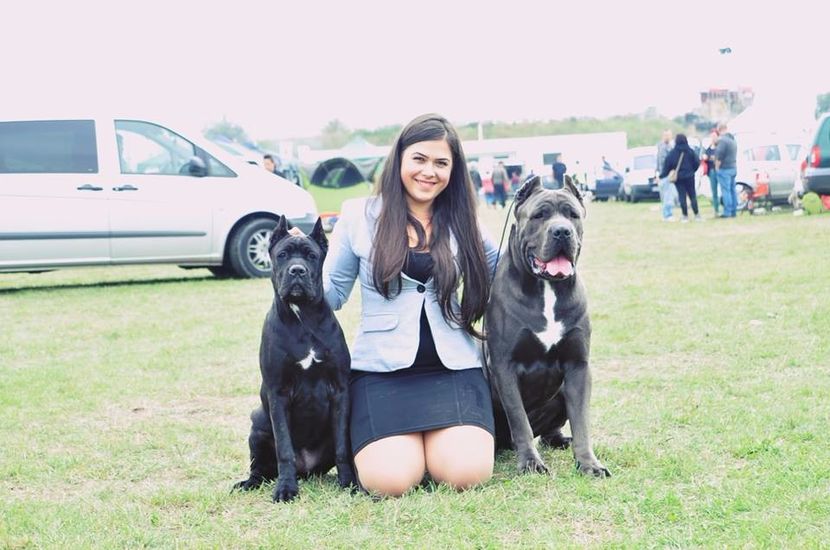 la 6 luni langa Uranus( taicaso) - Cane Corso Italiano METAL POWER KENNEL